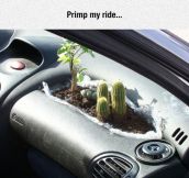 That Feeling Of Nature Inside Your Car