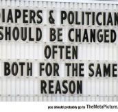 Diapers Vs. Politicians