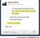 When Corals Get Stressed