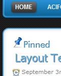 pinned