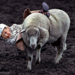 clip_image004.png