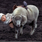 clip_image004_thumb.png