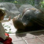 clip_image007.png