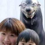 clip_image017.png