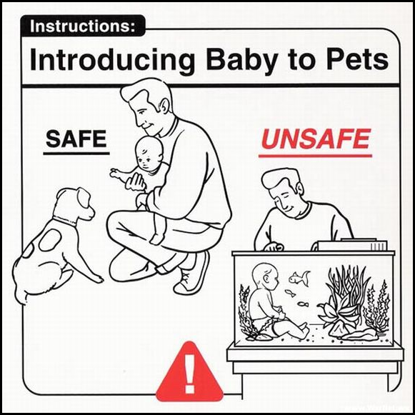 clip image016 thumb1 28 Funny Instructions to Help Take Care of Your Baby
