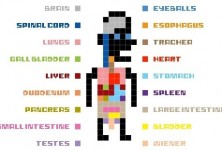 8-Bit-Human-Aatomy.jpg