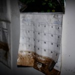 calendar-new-orleans