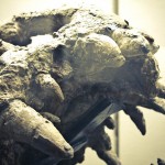 russian museum 18 150x150 A Walk Through Prehistory: Photos from Orlov Museum of Palaeontology 