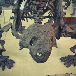 russian museum 20 150x150 A Walk Through Prehistory: Photos from Orlov Museum of Palaeontology 