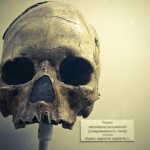 russian museum 23 150x150 A Walk Through Prehistory: Photos from Orlov Museum of Palaeontology 