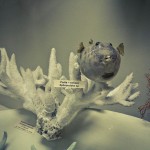 russian museum 26 150x150 A Walk Through Prehistory: Photos from Orlov Museum of Palaeontology 