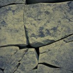 russian museum 29 150x150 A Walk Through Prehistory: Photos from Orlov Museum of Palaeontology 