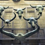 russian museum 59 150x150 A Walk Through Prehistory: Photos from Orlov Museum of Palaeontology 