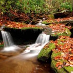 nature-motivation-vacation-tp03