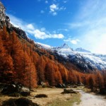 nature-motivation-vacation-tp07