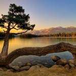 nature-motivation-vacation-tp14