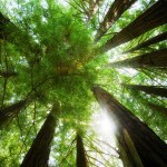 nature-motivation-vacation-tp20