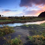 nature-motivation-vacation-tp21