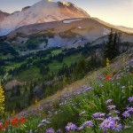 nature-motivation-vacation-tp23