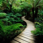 nature-motivation-vacation-tp29