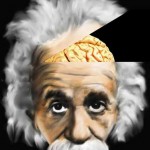 Albert-Einstein-brain-body-part