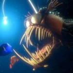 Anglerfish