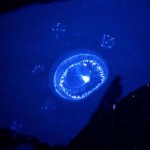 Bioluminescent Jellyfish