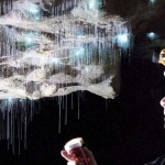 Glowworms
