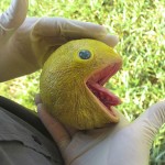 Pac_Man1