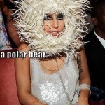 Polar bear asshole