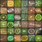 crop-circles