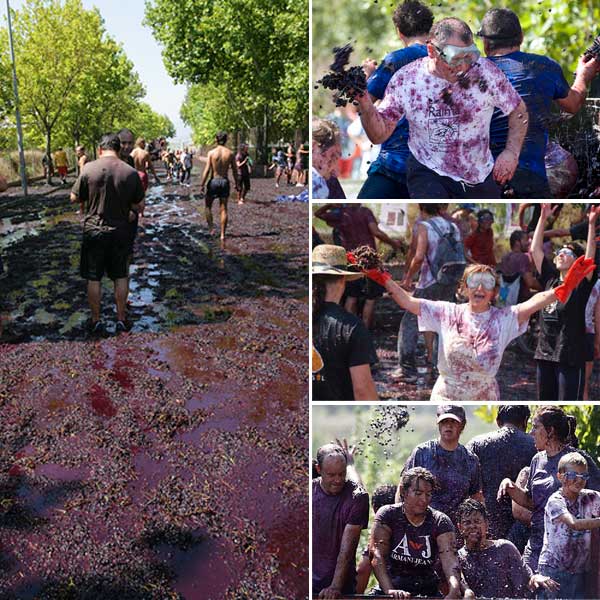 festival grape throwing The 10 Weird Festivals Where People Throw Things At Each Other