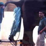 And you thought your job was bad