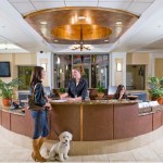 Barkley-Dog-Hotel-California-11