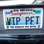 Barkley-Dog-Hotel-California-13