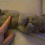 Don't Tickle Me!