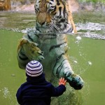 Fearless