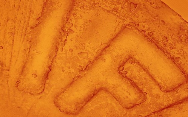 Food Electron Microscope 07 630x393 Amazing Photographs of Food Taken With Electron Microscope