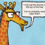 Hipster giraffe