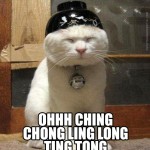 I do not approve of you, racist cat.