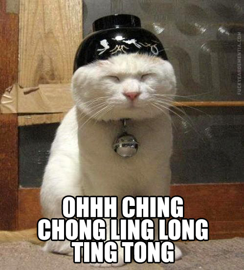 I do not approve of you, racist cat.