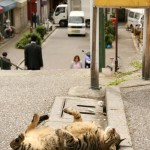 Just fell asleep on the street