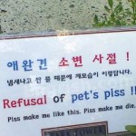 Piss make me like this