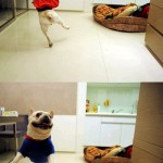 Super daaaawg!