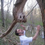 The most terrifying tree in existence