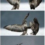 This...is...SPARTA!!!