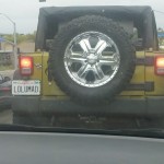 Traffic Troll