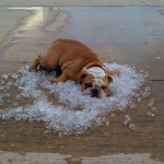 You know it is hot when...