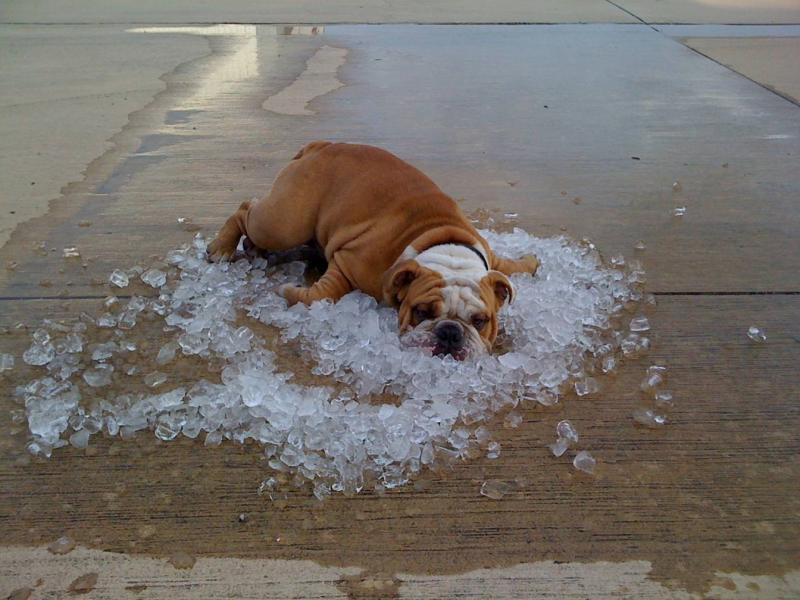 You know it is hot when...