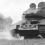 anti-tank-dog